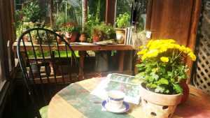 autumn tea in the greenhouse