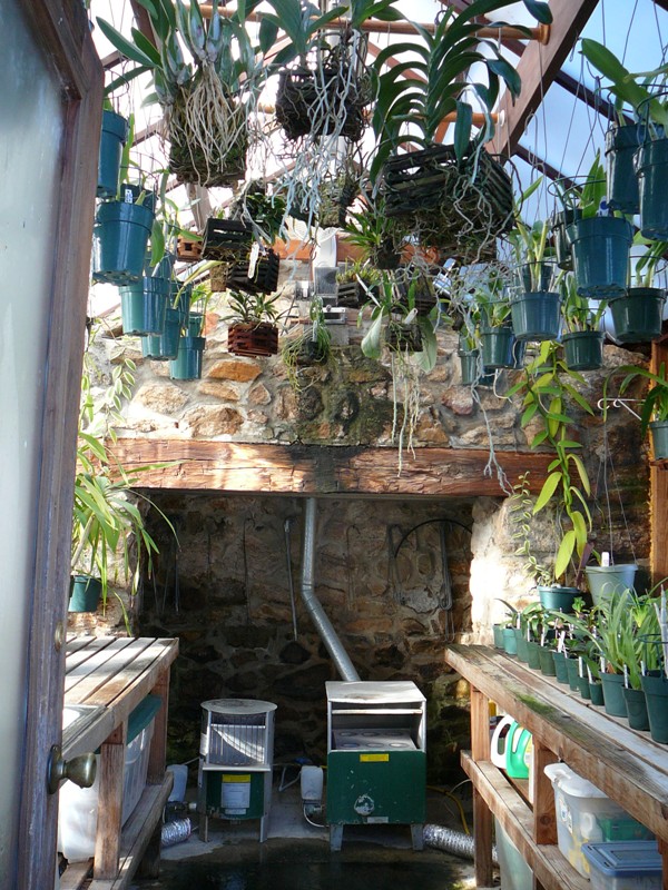 Deluxe Greenhouse Gallery Si Built Greenhouses Attached Greenhouse Interior With Orchids