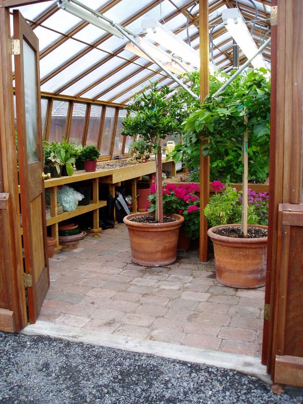 Interior of large sized greenhouse Interior of large sized greenhouse